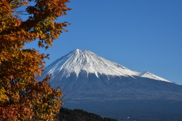富士山