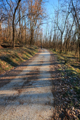 Obraz premium pista ciclabile nel parco del Lura - Lomazzo (Como)