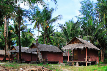 Fototapeta na wymiar Wooden houses at the jungle between coconut palm trees. Koh Chang, Thailand