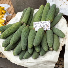 Ananas-banana fruit (Monstera deliciosa)