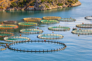 Fish farming in the sea, Greece. Cage system of fish cultivation