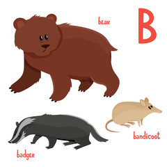 Set of cute bear, badger, bandicoot in cartoon style.