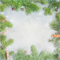 Fototapeta na wymiar Christmas tree and spices (cinnamon sticks, cardamom) on a gray concrete background. Winter holidays concept. Flat lay, top view. Xmas Border - horizontal banner. Web size. 