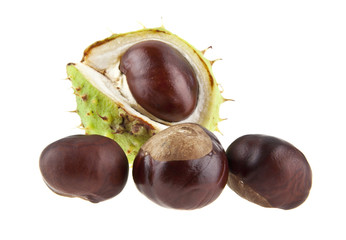 chestnuts isolated on white background closeup