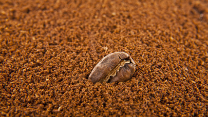 grains and ground coffee as background