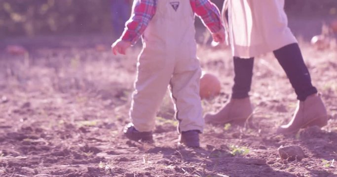 Toddler  and mother walking by pumpkins in pumpkin patch