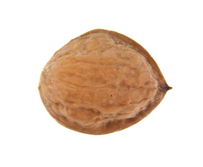 walnuts isolated on white background