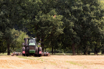 Landwirtschaft in Mitteldeutschland