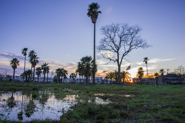 Obraz premium Houston Sunset