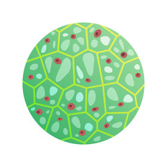 Round Green Cell with Microorganisms Vector Icon