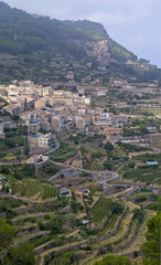Fototapeta na wymiar Terraces at Banyalbafar in north west Mallorca