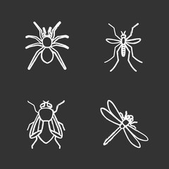 Fototapeta na wymiar Insects chalk icons set