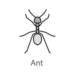 Ant color icon