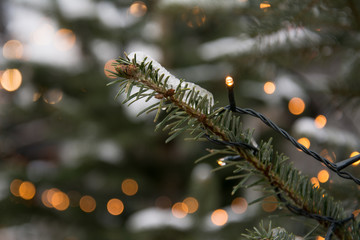Christmas tree with blur