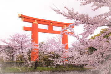 桜の頃
