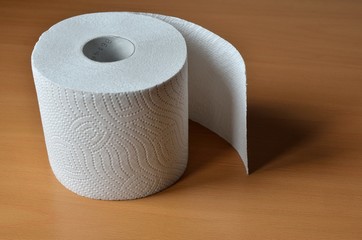 Role of toilet paper