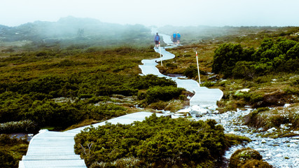 Path in the Tasmanian mountain