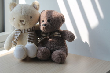 Bear and kitten toy sitting by the window in shadows