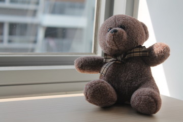 Brown Bear toy sitting by the window in shadows