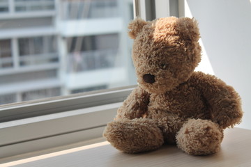 Brown Bear toy sitting by the window in shadows