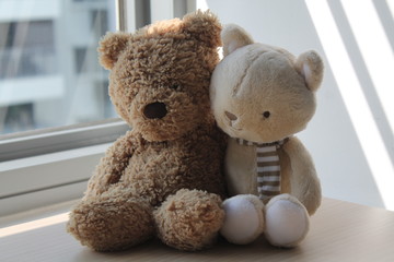 Brown Bear and kitten toy sitting by the window in shadows