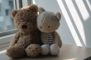 Brown Bear and kitten toy sitting by the window in shadows