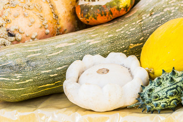 Arrière plan courges et pâtisson