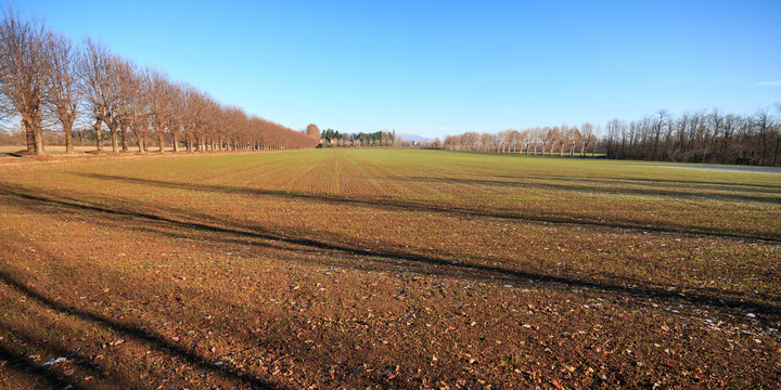 campi coltivati nel parco del Lura - Lomazzo (Como)