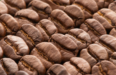 Coffee beans background
