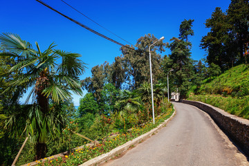The Batumi Botanical Garden near Batumi, Georgia.