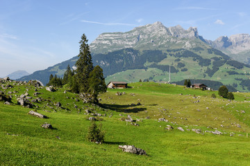Fototapeta na wymiar Rural view over Engelberg on Switzerland
