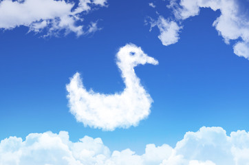 Bird duck from the clouds against the blue sky.