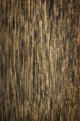 Brown grunge wood texture