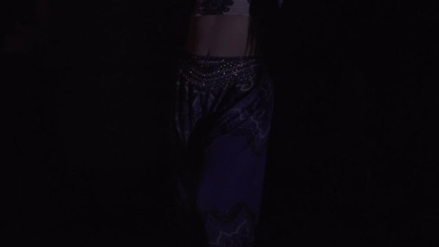 Sexy, young woman belly dancer arabian in exotic dress dancing exotic dance.