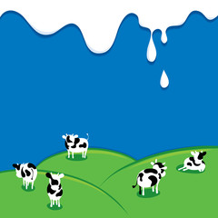 Fototapety  Background for dairy and milk product / Vector illustrations with drops and splashes, abstract cows in field.