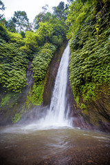 Fototapeta na wymiar Waterfall. Exotic tourism. The rest of the equator. Bali Indonesia