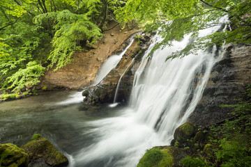 Obraz premium 新緑の森と名水の滝の流れ
