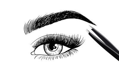 Eyes with eyebrow and long eyelashes and tweezers to build. Logo for eyebrow mater, eyelash extension eyebrow. Vector illustration. - 183615058