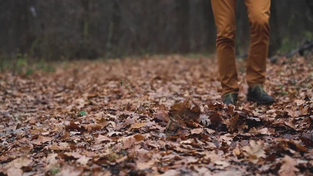 Legs of a man who walks through the autumn forest and kicks the fallen leaves close up. Slow motion