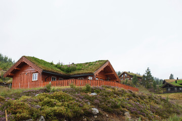Fototapeta na wymiar Wooden Houses in Norway