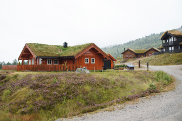 Fototapeta na wymiar Norway Village Houses