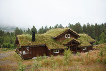 Fototapeta na wymiar House with Grass Roof in Norway