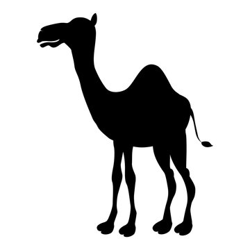 Vector cartoon silhouette camel icon cute funny camel standing  illustration