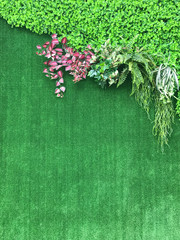Beautiful artificial plant wall background