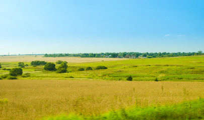 Idyllic rural summer landscape with green grass and blue sky