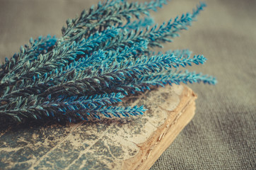 Bouquet of lavender lies on the old book on rough background
