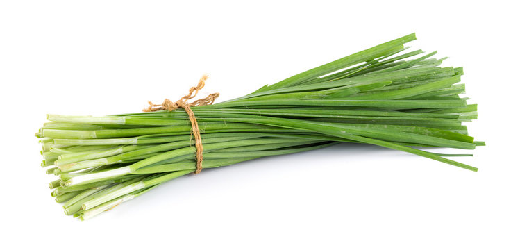 Garlic chives isolated on white background