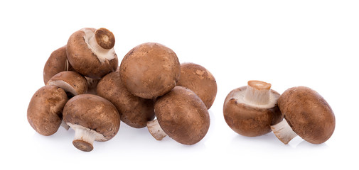 Mushroom champignon isolated on white background