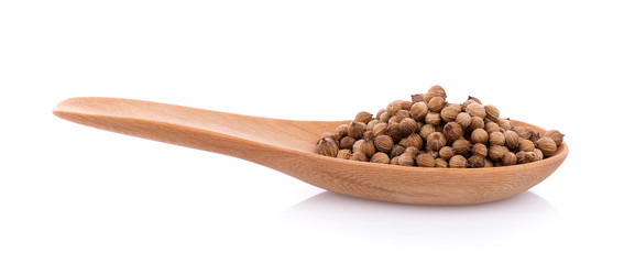 coriander seeds in spoon on white background