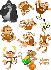 Obraz premium zbiór małp